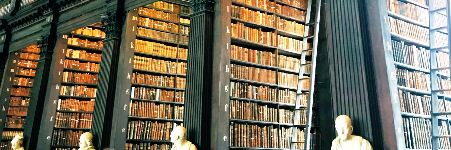 anda dragomir banner