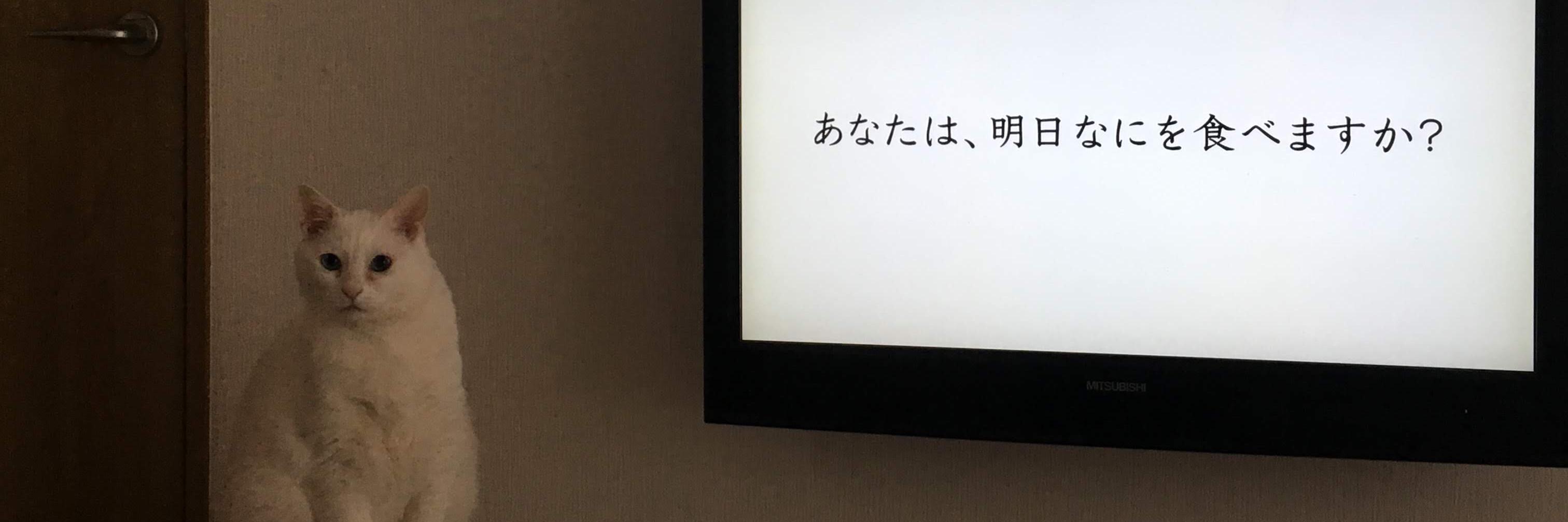 わたさん banner