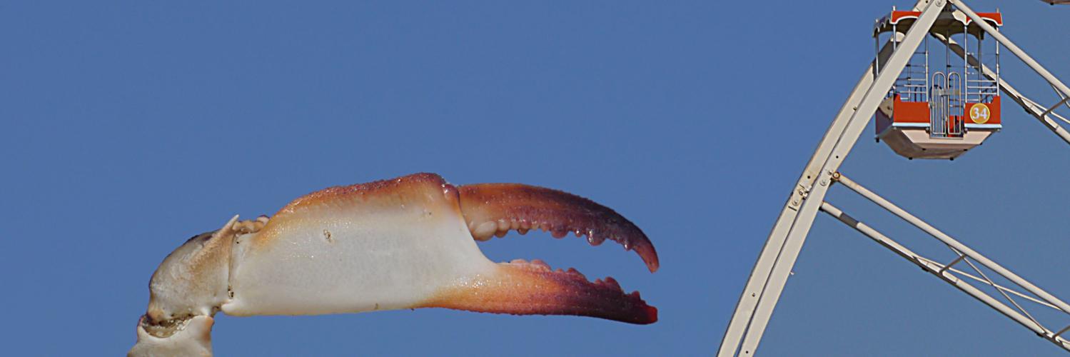 reevephotos's profile banner image