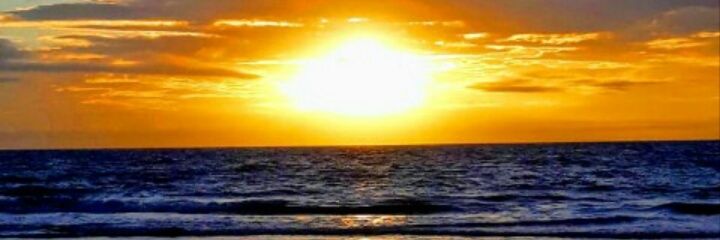 SofiDurigutti's profile banner image