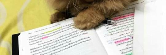 Babe_cute✨🌛❤️ banner