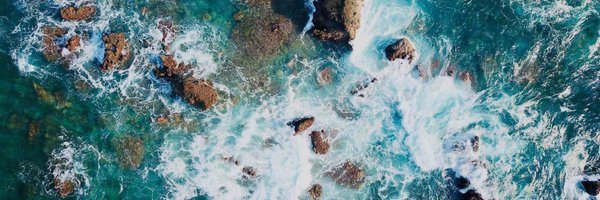 Seafile Profile Banner