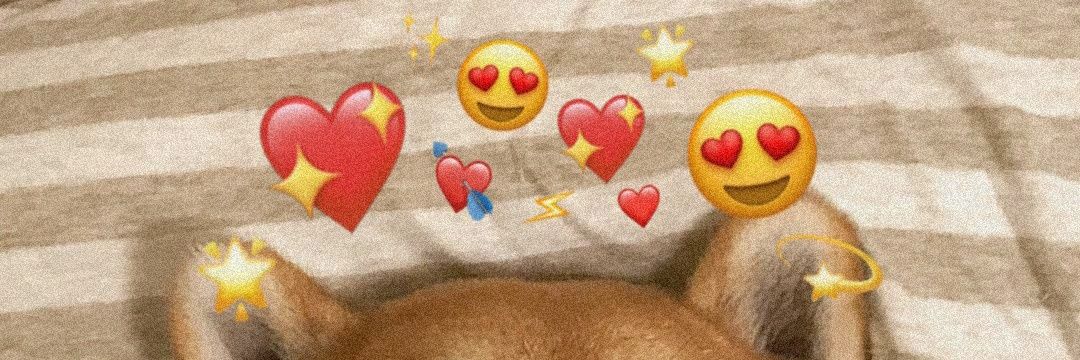 ShibeansChan's profile banner image