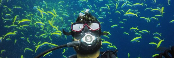 Sideytheshark Profile Banner