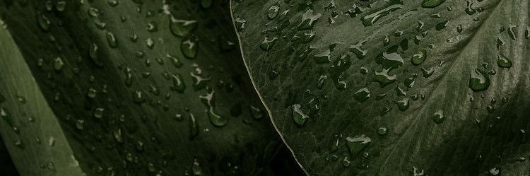 andreagvilla's profile banner image