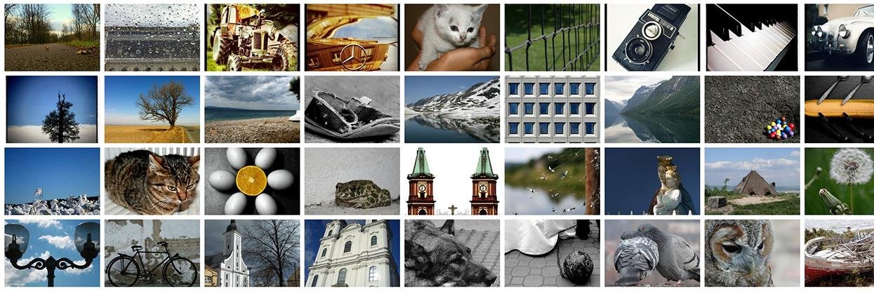 elka_cz's profile banner image