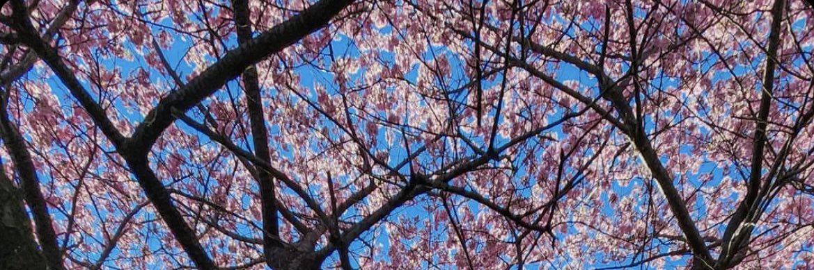 eriskaokt's profile banner image