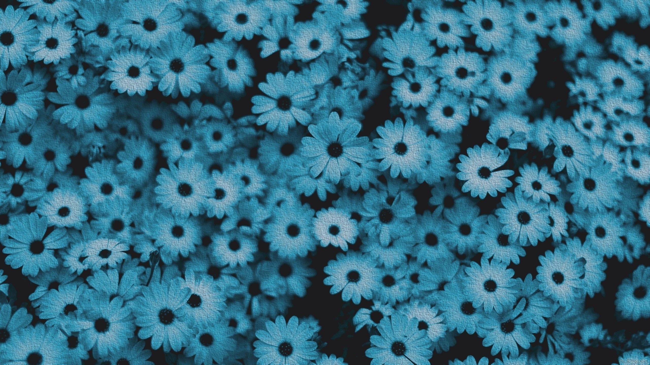 Arbil_rey's profile banner image