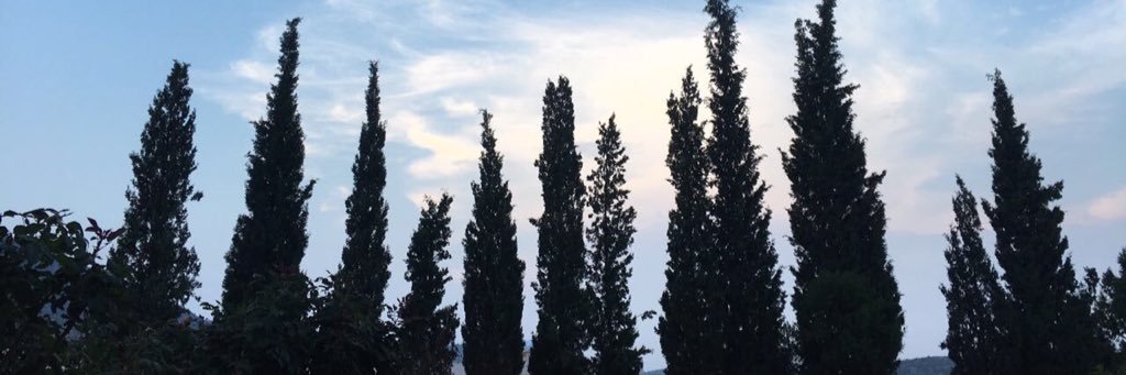 ms_mem23's profile banner image