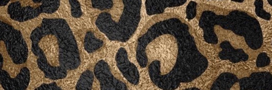 janelygonzalez_'s profile banner image