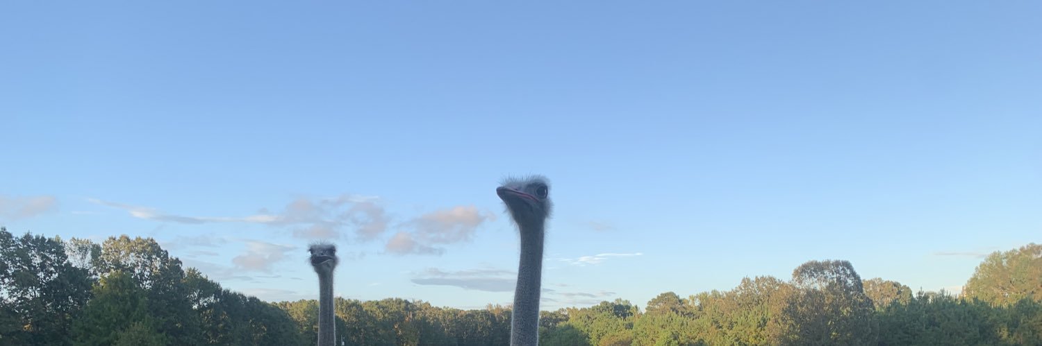 BiG_eZ_99's profile banner image
