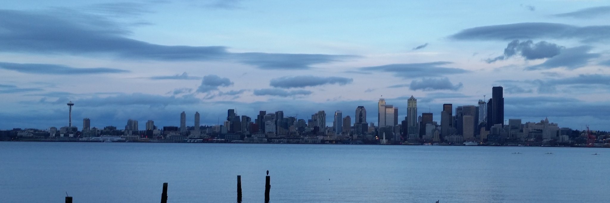 Dylan Jenkins banner