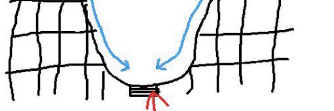 timothy timler banner