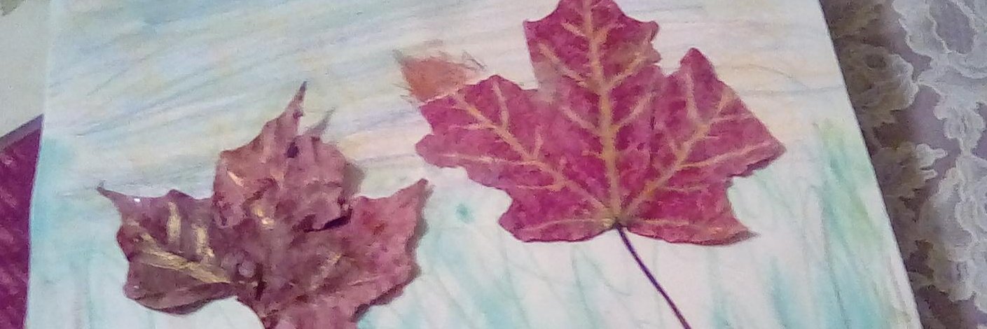 MariaS Nunes has "freedom of speech BUT not reach" banner