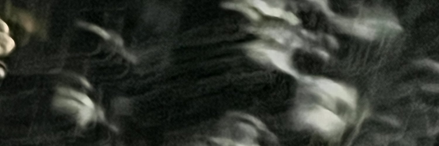 oyster_inc's profile banner image