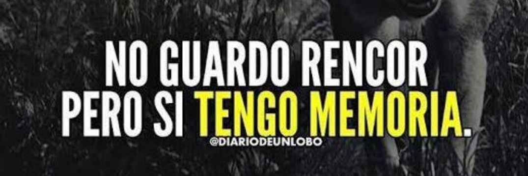 Acero y nada más. banner
