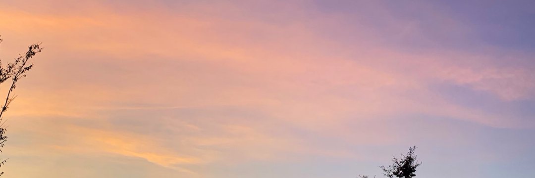 addorablecindy's profile banner image