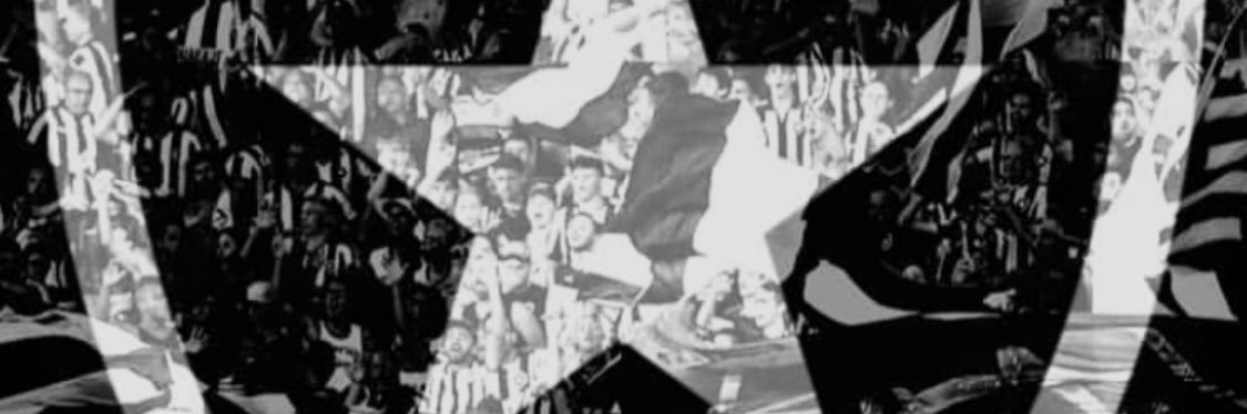 BotafogoCincy's profile banner image