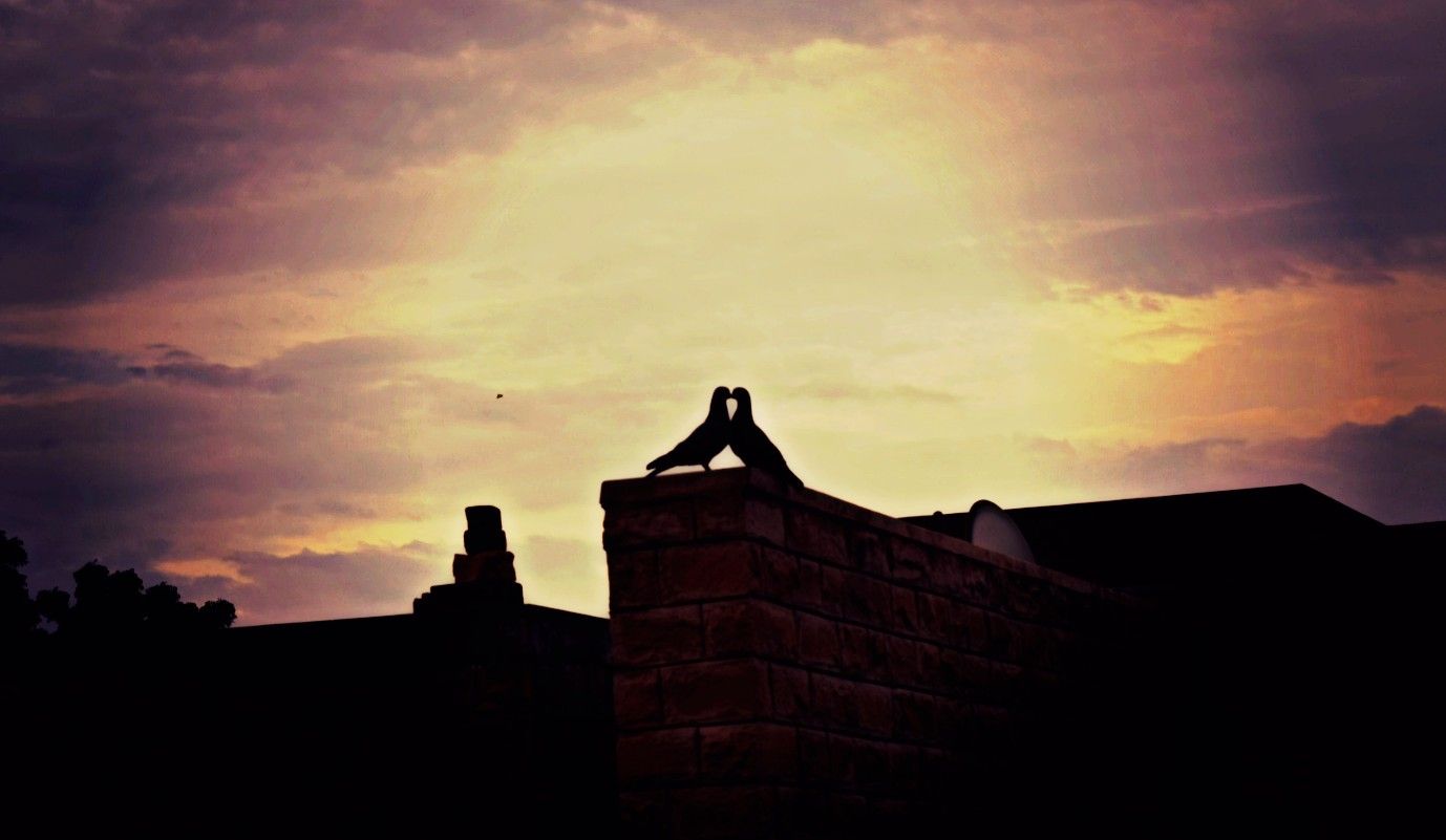 arpit20988's profile banner image
