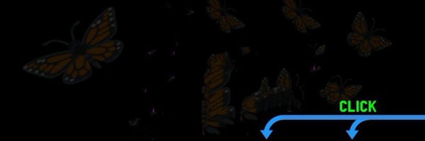 TaireWill Profile Banner