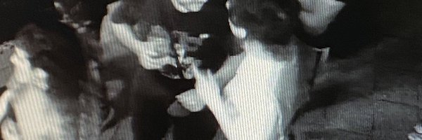 _mosulmosul Profile Banner