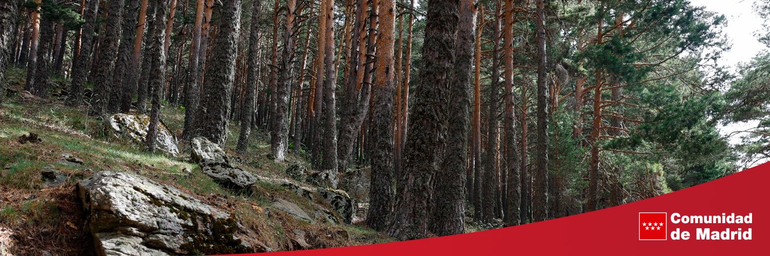 Medio Ambiente▪️Comunidad de Madrid banner