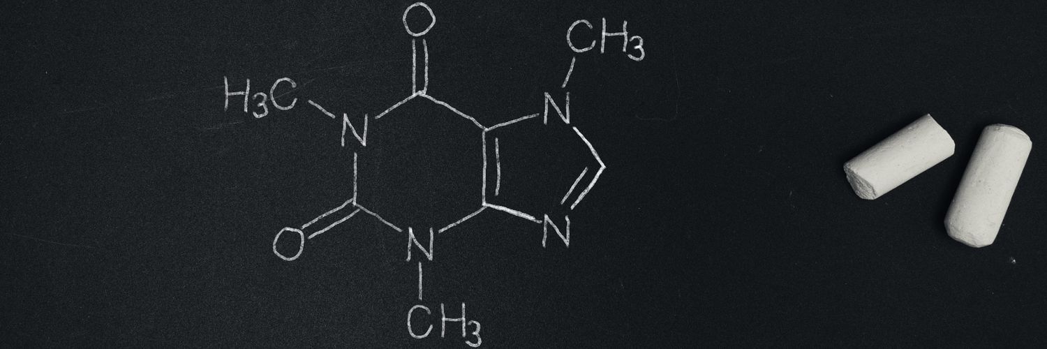 Dario Magnani banner