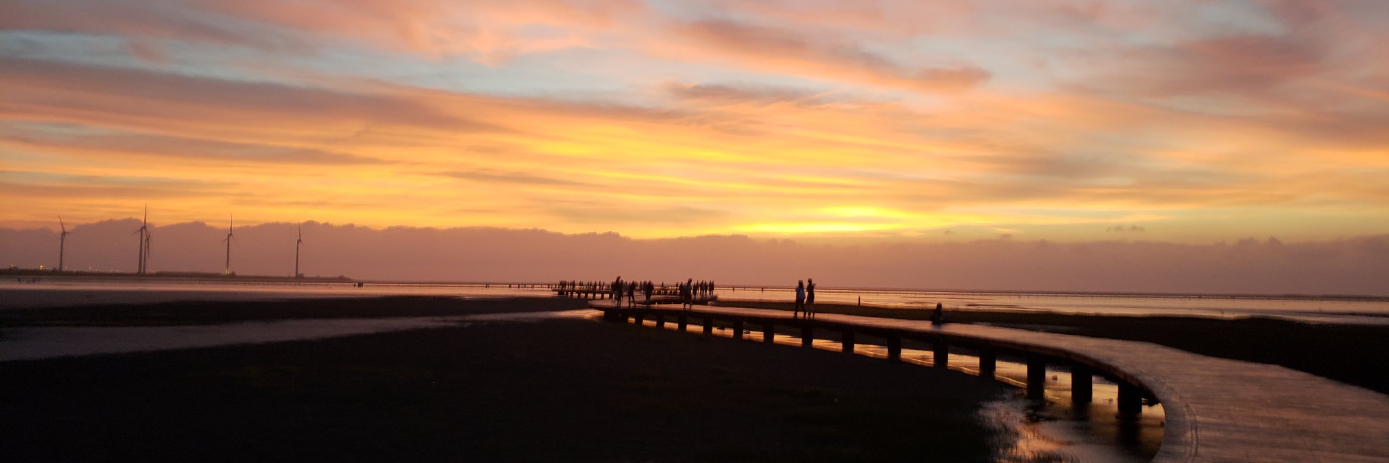 Jeanie Ching tzu Yu banner