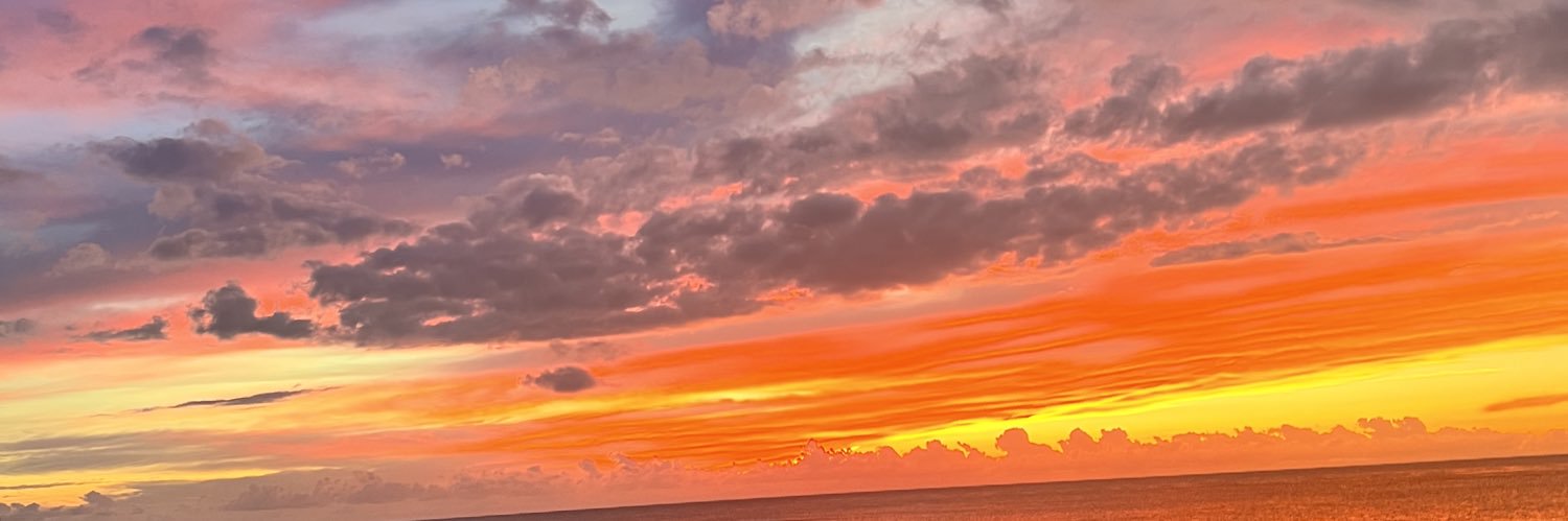 coralfantasy777's profile banner image