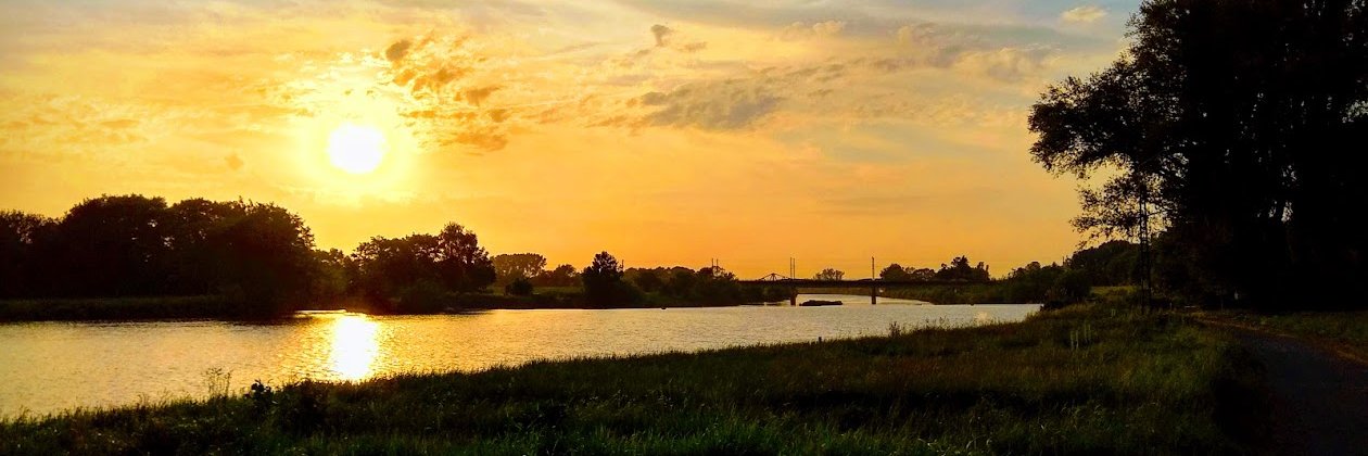 LeFroehlich's profile banner image