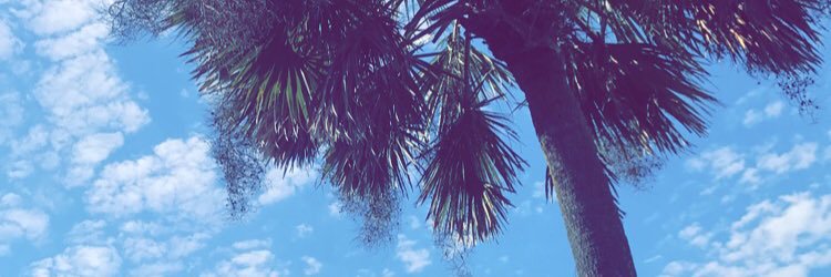 scar_and8's profile banner image