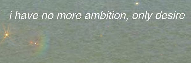 agnes banner