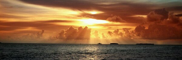 efm7966 Profile Banner