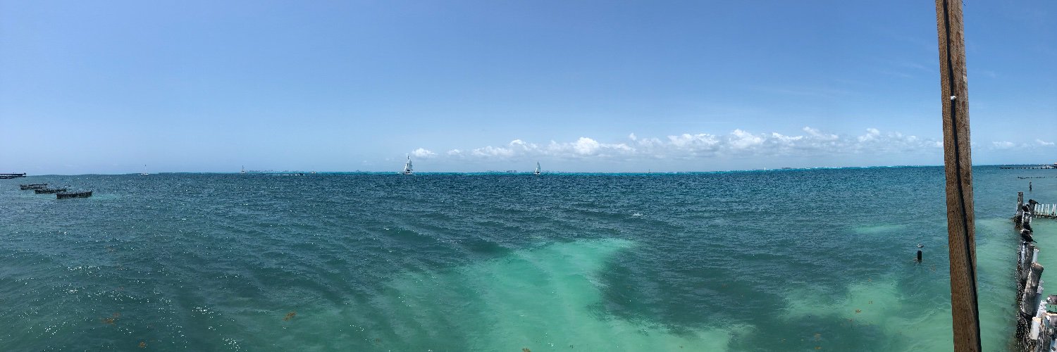 Antonio McFly banner