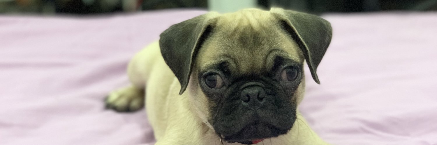 Iamkayeeeeee's profile banner image