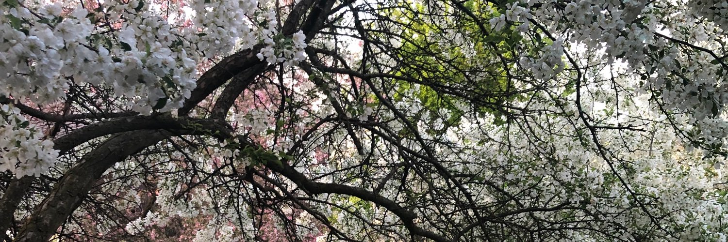 Madeline Endres banner