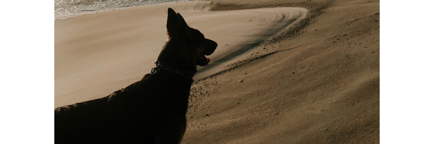 sophster77's profile banner image