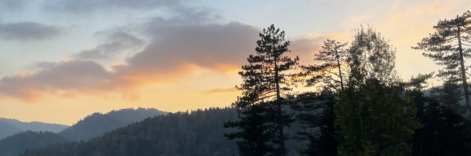 BabyRoeDeerr's profile banner image