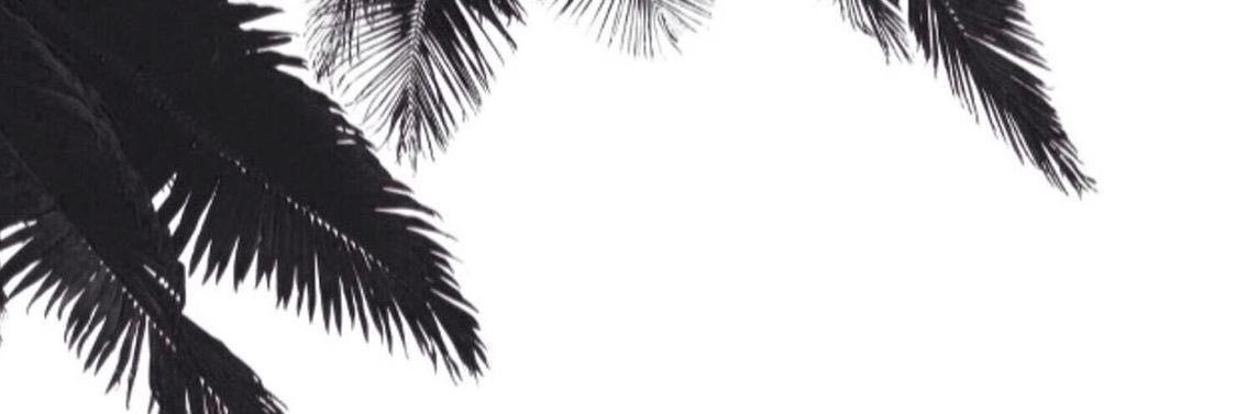 delicateclouds's profile banner image