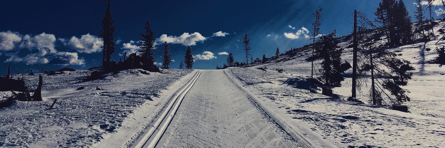Federico Sperotto banner