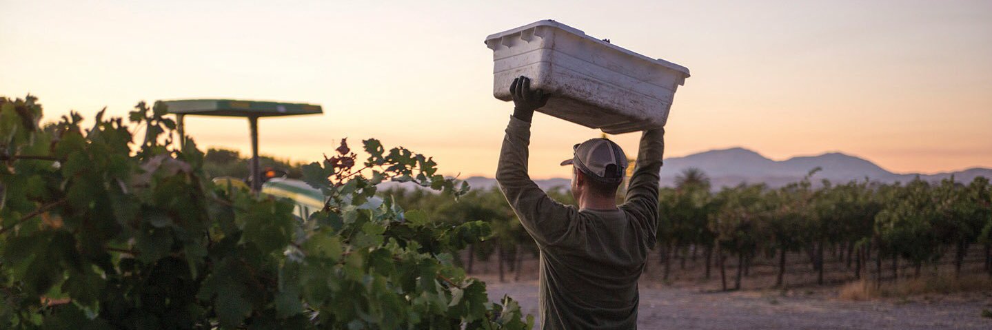 The Vintner Project banner