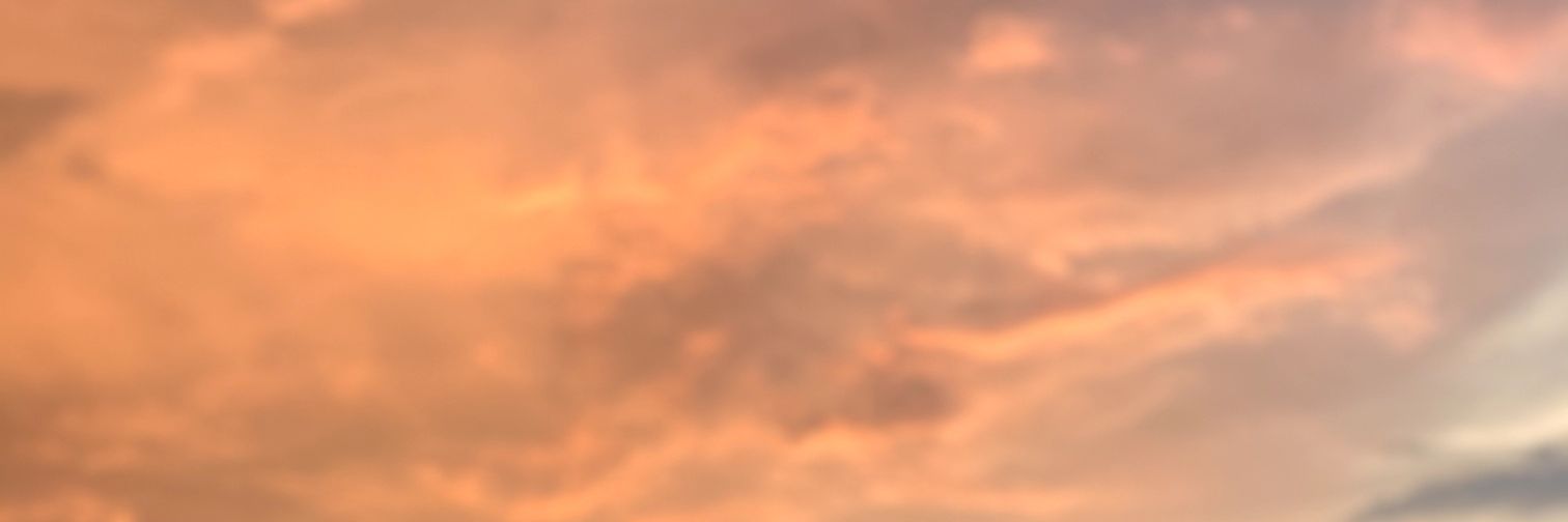 Faschal's profile banner image