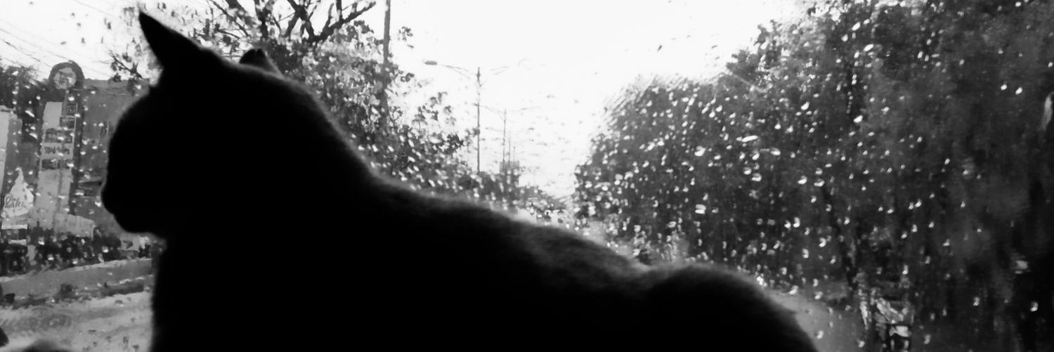 ulilku's profile banner image