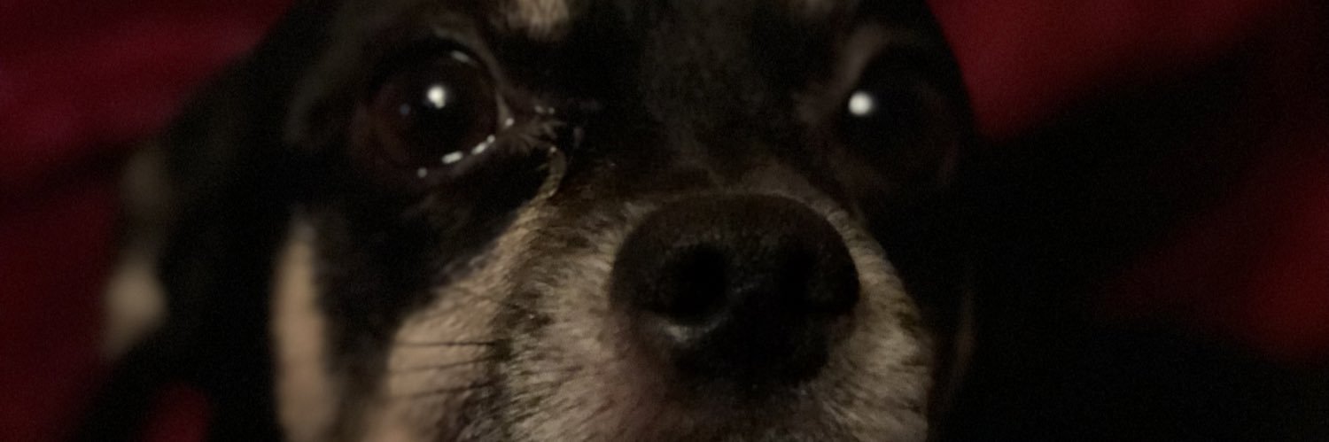 Freackintots14's profile banner image