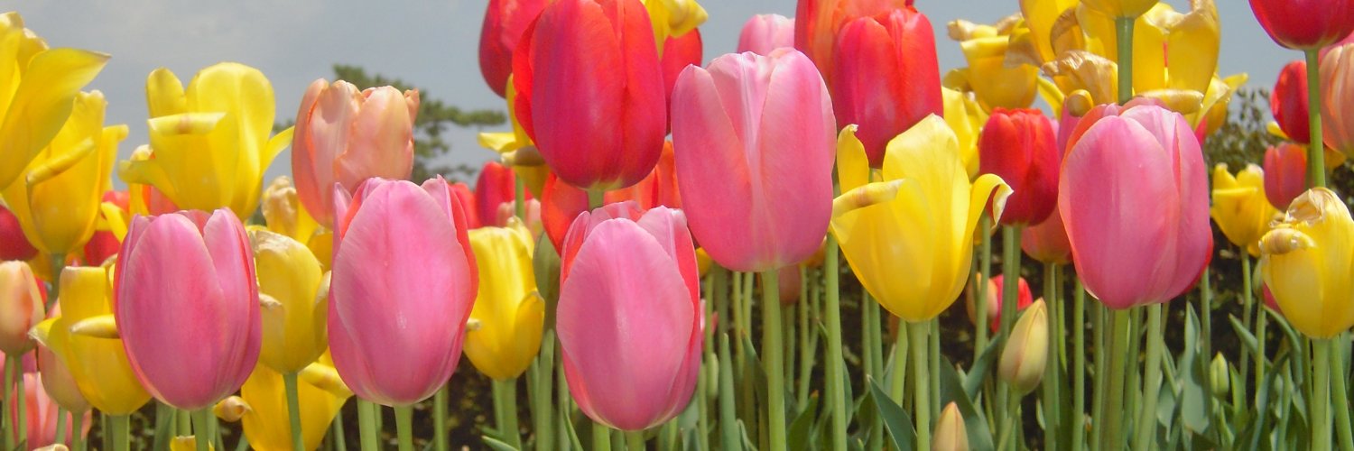 201202au's profile banner image