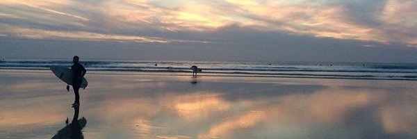 lynneclemo1 Profile Banner