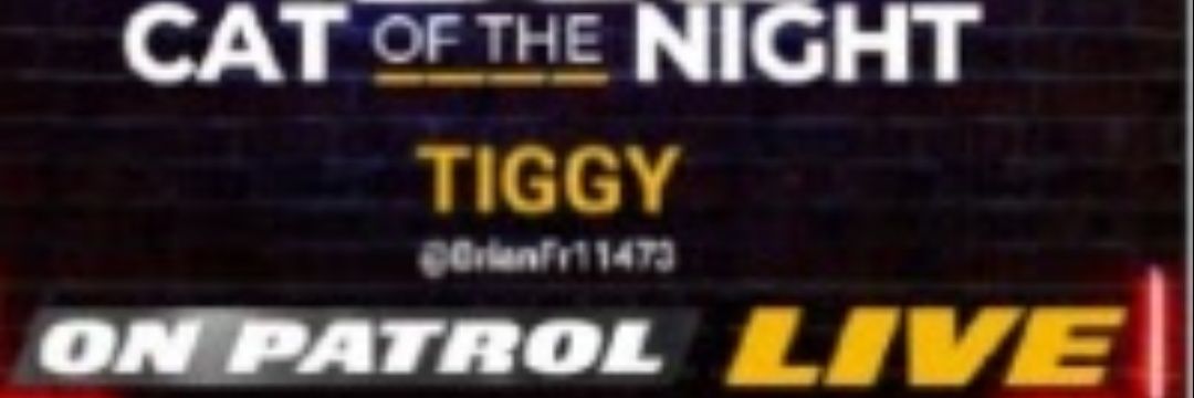 Brian Francis Nearey's banner