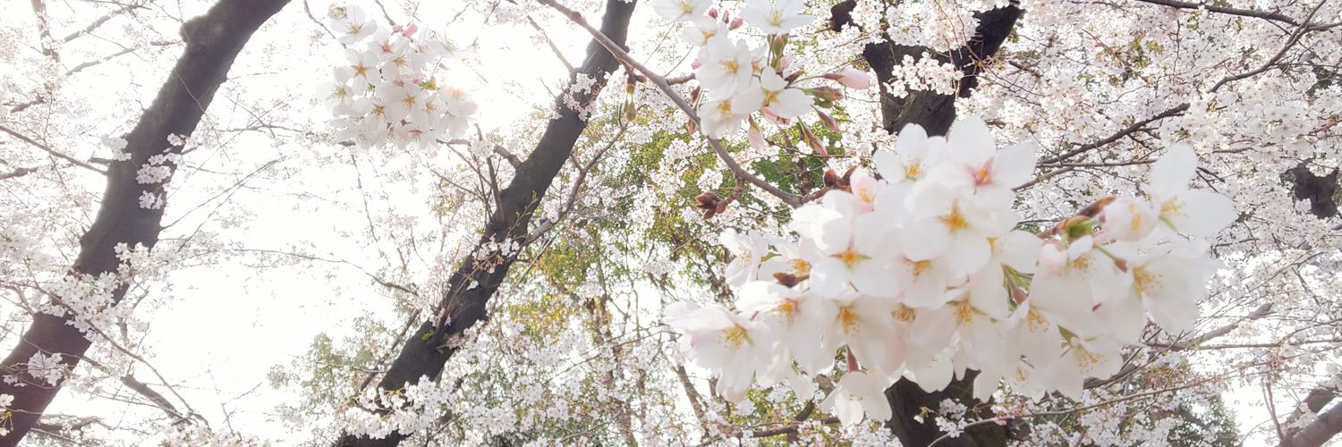 らのべ banner