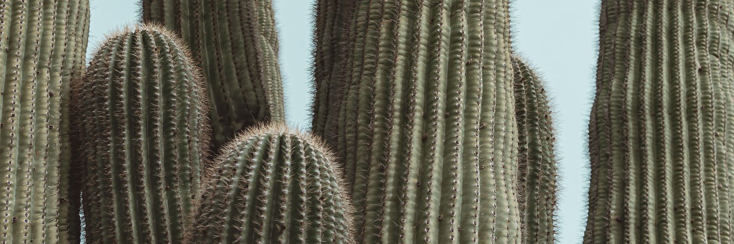 ProbstRyan's profile banner image