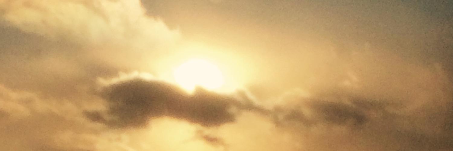 feather_maracle's profile banner image